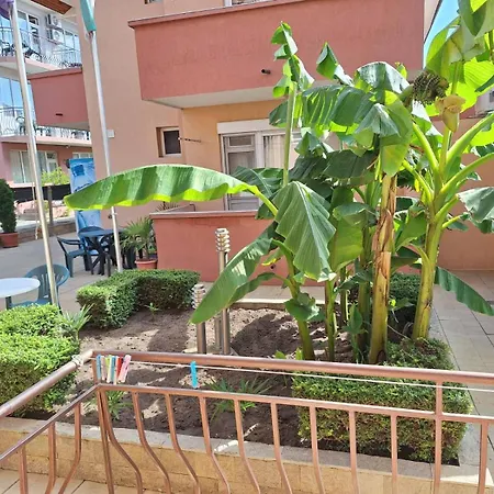 招待所 авеню